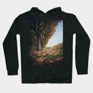 Beautiful day in the autumn park Hoodie